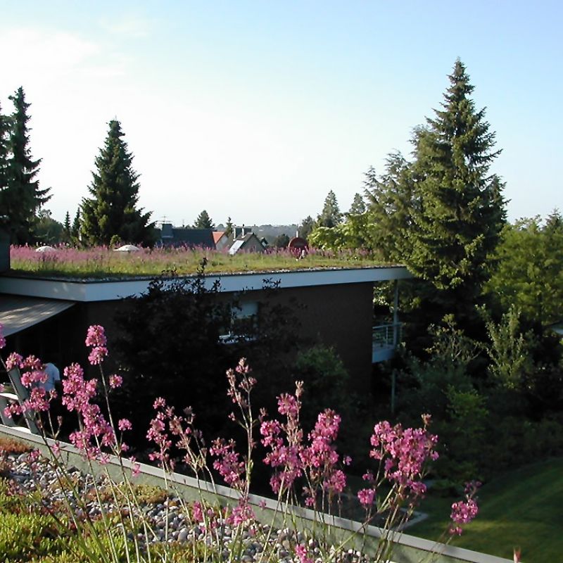 Gründach